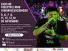 Curs de Freestyle